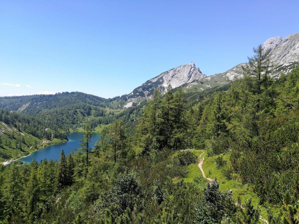 Appartement-Pension Familie Gewessler Bad Mitterndorf Dış mekan fotoğraf