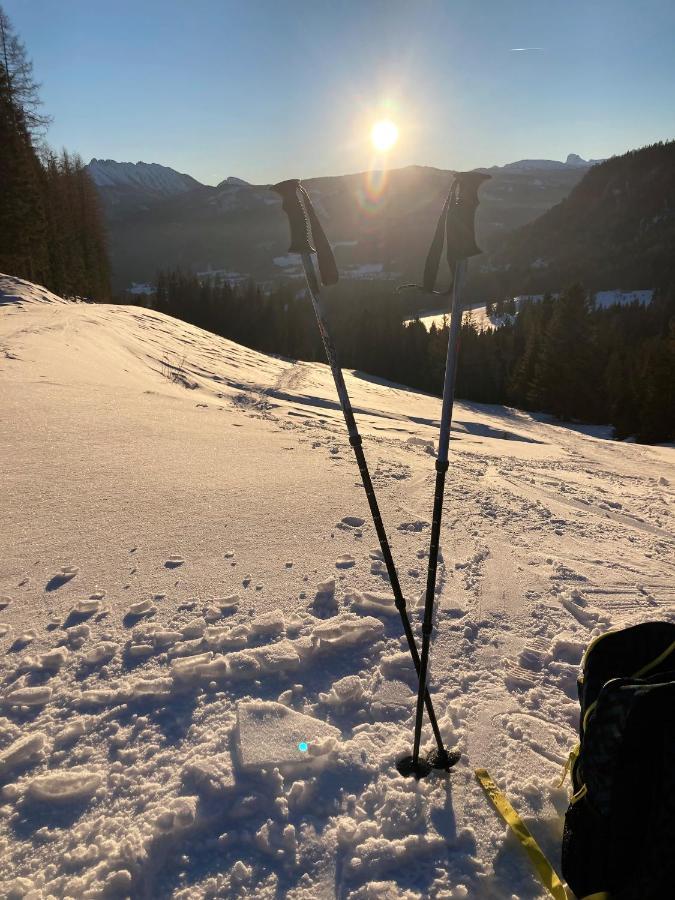 Appartement-Pension Familie Gewessler Bad Mitterndorf Dış mekan fotoğraf