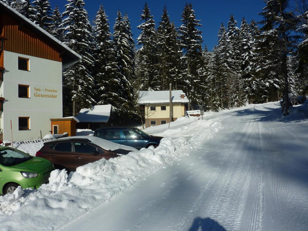 Appartement-Pension Familie Gewessler Bad Mitterndorf Dış mekan fotoğraf