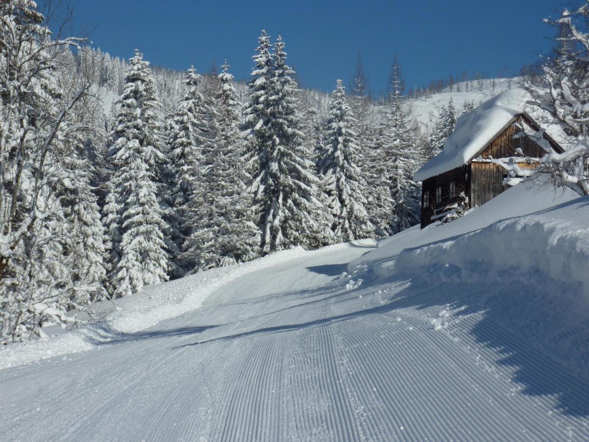Appartement-Pension Familie Gewessler Bad Mitterndorf Dış mekan fotoğraf
